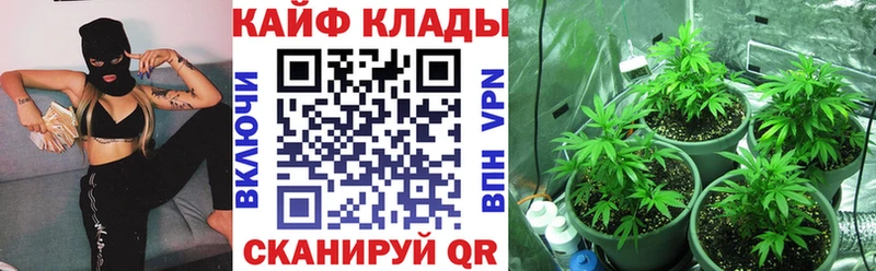 Названия наркотиков Шарья A-PVP  Канабис  АМФ  ГАШИШ  МЕФ 