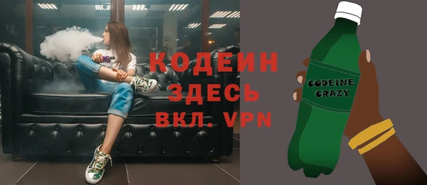 ПСИЛОЦИБИНОВЫЕ ГРИБЫ Михайлов