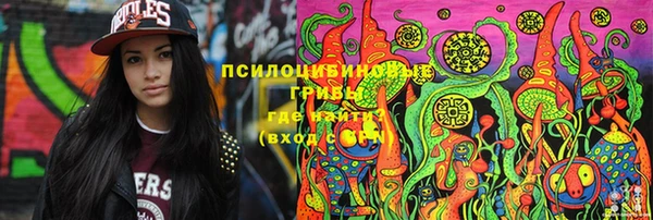 ПСИЛОЦИБИНОВЫЕ ГРИБЫ Михайлов