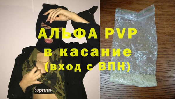 ПСИЛОЦИБИНОВЫЕ ГРИБЫ Михайлов