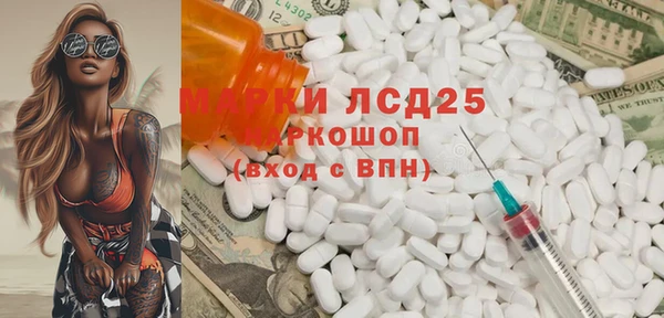 ПСИЛОЦИБИНОВЫЕ ГРИБЫ Михайлов