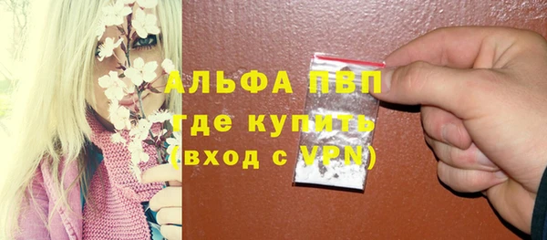 ПСИЛОЦИБИНОВЫЕ ГРИБЫ Михайлов