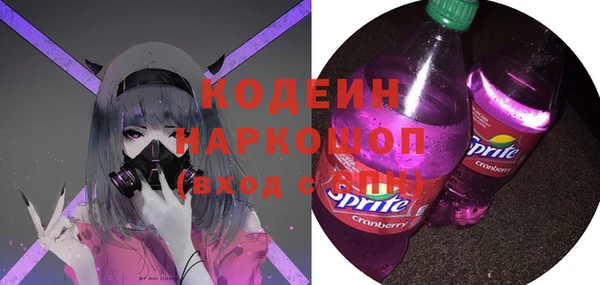 ПСИЛОЦИБИНОВЫЕ ГРИБЫ Михайлов