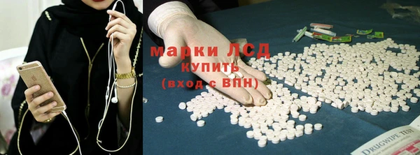 сатива Бабаево