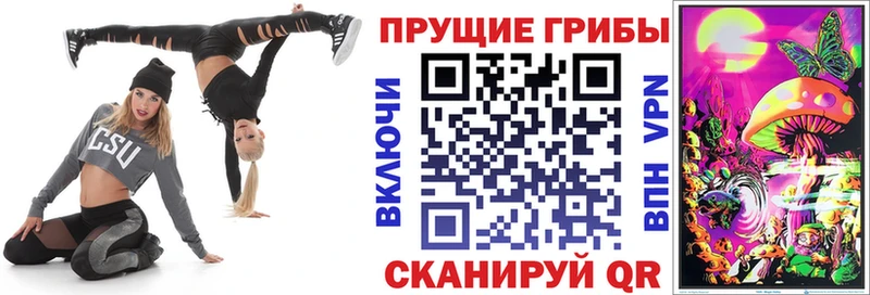 Галлюциногенные грибы Magic Shrooms  где купить наркотик  Шарья 